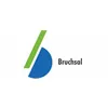 Stadt Bruchsal logo