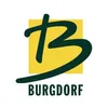 Stadt Burgdorf logo