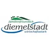 Stadt Diemelstadt logo