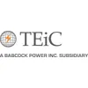 Tei Construction Services Inc. logo