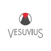 Vesuvius GmbH logo