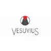 Vesuvius GmbH logo