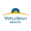 WellSpan Health logo