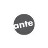 ante Holding GmbH & Co. KG logo