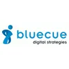 bluecue consulting GmbH & Co. KG logo