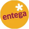 e-netz Südhessen AG logo
