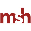 msh Steuerberatungsgesellschaft mbH & Co. KG logo