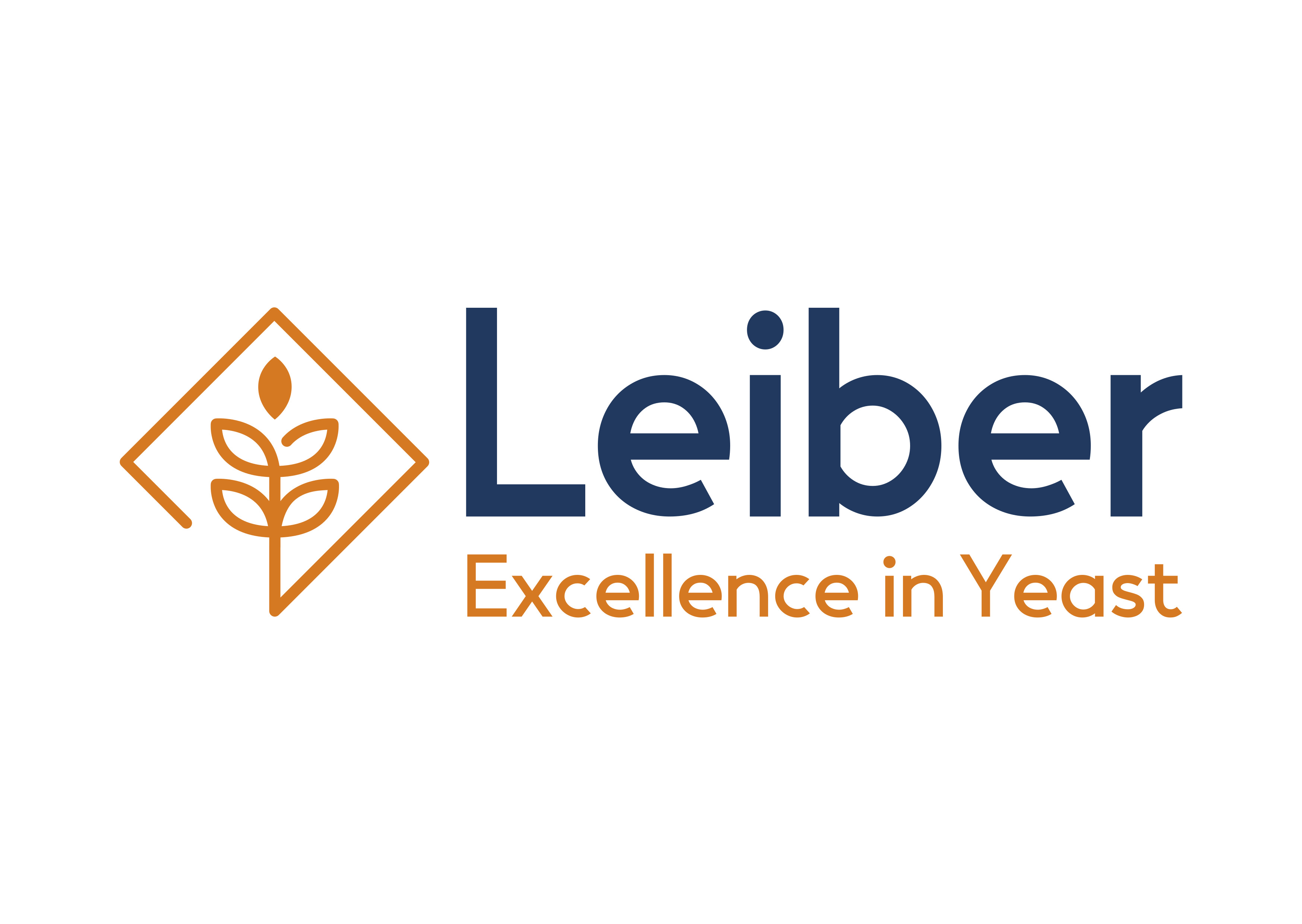 Leiber GmbH logo