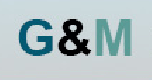G & M Unternehmensberatung GmbH logo