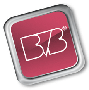 BVB-Verlagsgesellschaft mbH logo