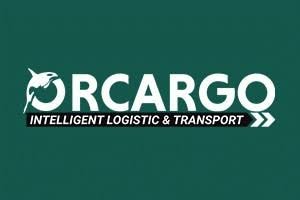 DM Transport Solutions GmbH logo