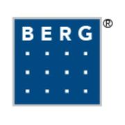 BERG Personalmanagement GmbH logo