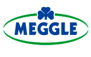 MEGGLE GmbH & Co. KG logo