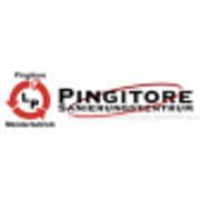 Pingitore Sanierung GmbH logo