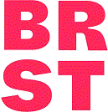Soziale Dienste Bürgermeister Reuter gGmbH logo