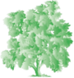 Wohn- und Pflegezentrum Schlosspark logo
