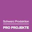 Pro Projekte GmbH & Co. KG logo
