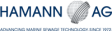HAMANN AG logo