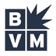 Best Version Media logo