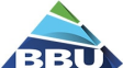 BBU Dr. Schubert GmbH logo