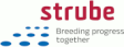 Strube D&S GmbH logo