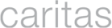St. Raphael Caritas Alten- und Behindertenhilfe GmbH logo
