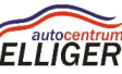 Autocentrum Elliger Inh. Frank Fischer e.K. logo