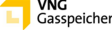 VNG Gasspeicher GmbH logo