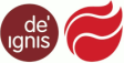DE ́IGNIS Fachklinik gGmbH logo