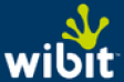Wibit Sports GmbH logo