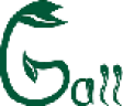 Ganzheitliche Physiotherapie Gall logo