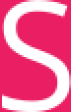 Steneg logo
