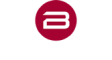 Bürstner GmbH & Co. KG logo