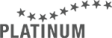PLATINUM GmbH & Co. KG logo