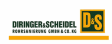 DIRINGER&SCHEIDEL ROHRSANIERUNG GmbH & Co. KG logo