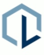 Layton Consulting GmbH logo