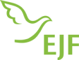 EJF gemeinnützige AG logo