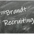 Dr. Brandt Recruiting GmbH logo