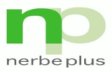 nerbe plus GmbH & Co. KG logo