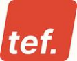 TEF-Dokumentation GmbH logo