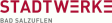 Stadtwerke Bad Salzuflen GmbH logo