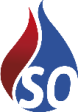 Schadensanierung Ost GmbH & Co. KG logo
