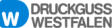 Druckguss Westfalen GmbH & Co. KG logo