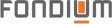 FONDIUM Singen GmbH logo