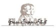 Magistrat der Stadt Hanau logo