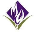 Metrowest Medical Center - Consolidated logo