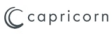 capricorn AUTOMOTIVE GmbH logo