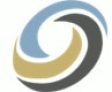 SKYLAR & PARTNER logo