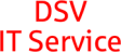 DSV IT Service GmbH - Ein Unternehmen der DSV-Gruppe logo