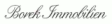 Borek Immobilien GmbH & Co. KG logo